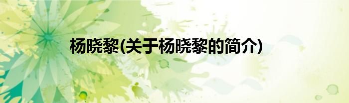 杨晓黎(关于杨晓黎的简介)