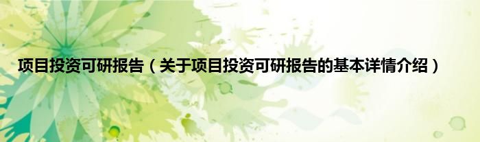 项目投资可研报告（关于项目投资可研报告的基本详情介绍）