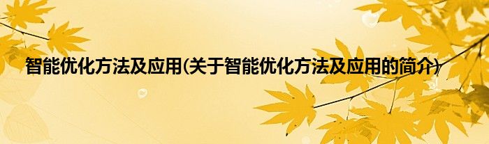 智能优化方法及应用(关于智能优化方法及应用的简介)