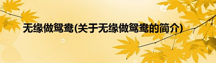 无缘做鸳鸯(关于无缘做鸳鸯的简介)