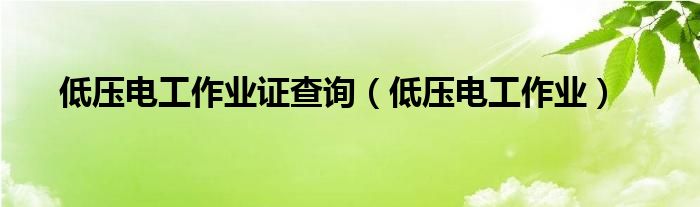 低压电工作业证查询（低压电工作业）