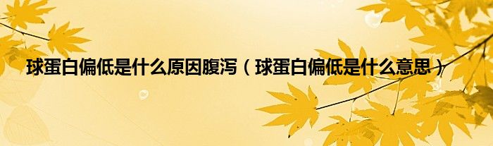 球蛋白偏低是什么原因腹泻（球蛋白偏低是什么意思）
