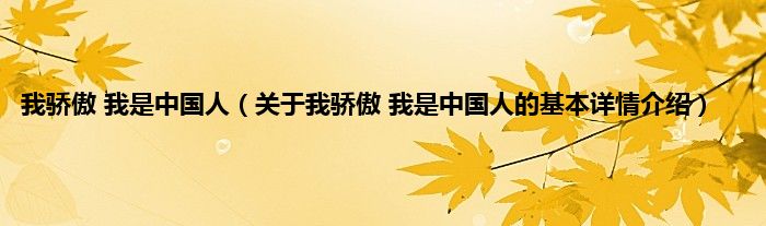 我骄傲 我是中国人（关于我骄傲 我是中国人的基本详情介绍）