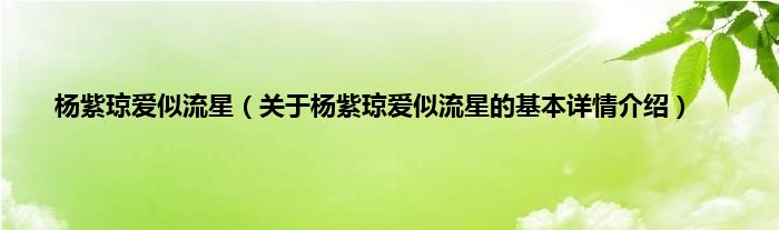 杨紫琼爱似流星（关于杨紫琼爱似流星的基本详情介绍）