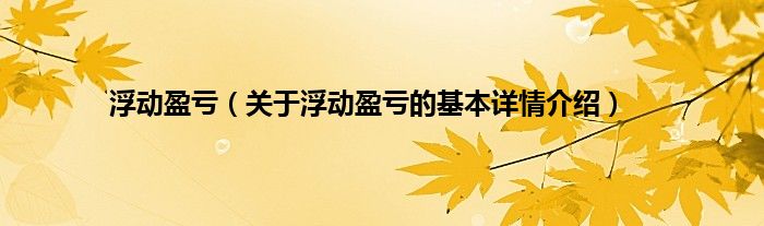 浮动盈亏（关于浮动盈亏的基本详情介绍）