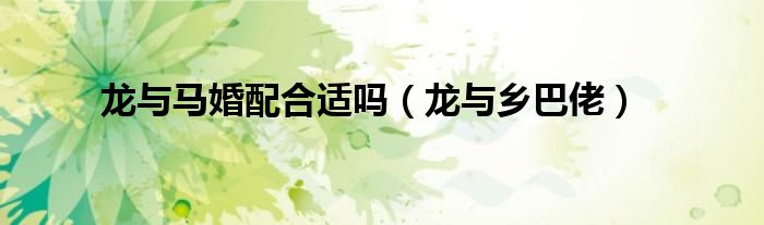 龙与马婚配合适吗（龙与乡巴佬）