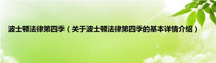 波士顿法律第四季（关于波士顿法律第四季的基本详情介绍）