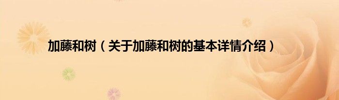 加藤和树（关于加藤和树的基本详情介绍）