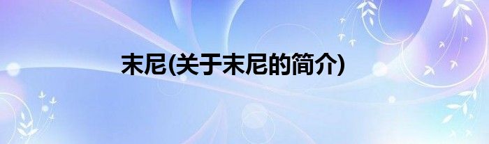 末尼(关于末尼的简介)