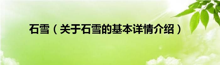 石雪（关于石雪的基本详情介绍）