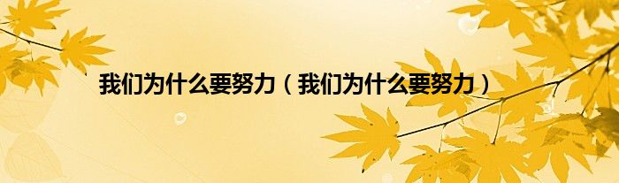 我们为什么要努力（我们为什么要努力）
