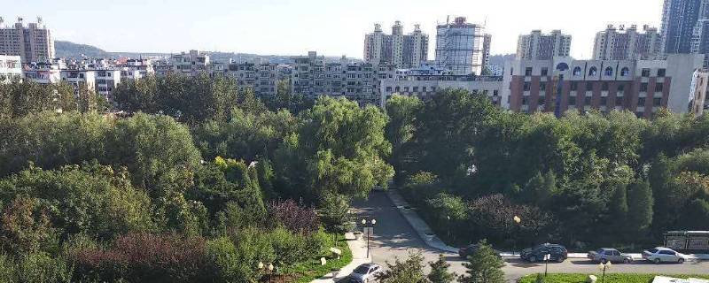 抚顺六中有宿舍楼吗