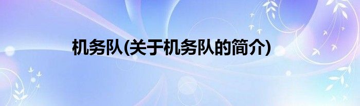 机务队(关于机务队的简介)