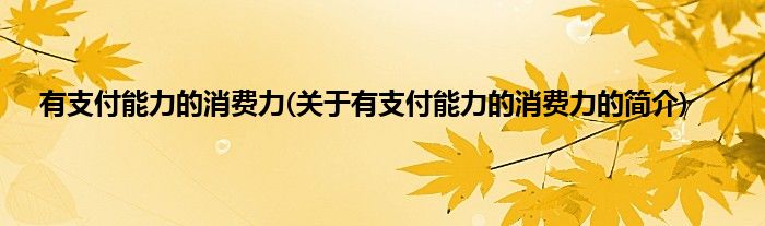 有支付能力的消费力(关于有支付能力的消费力的简介)