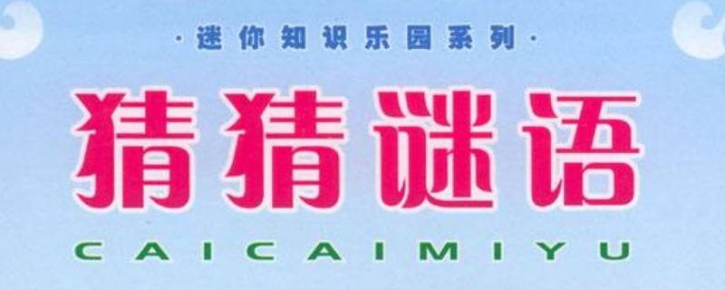 拱猪入门打一字