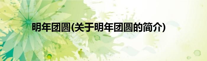 明年团圆(关于明年团圆的简介)
