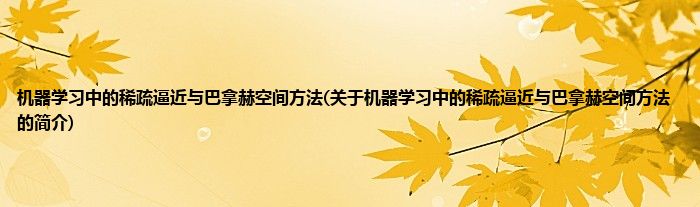 机器学习中的稀疏逼近与巴拿赫空间方法(关于机器学习中的稀疏逼近与巴拿赫空间方法的简介)