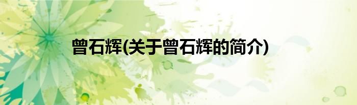 曾石辉(关于曾石辉的简介)