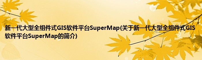 新一代大型全组件式GIS软件平台SuperMap(关于新一代大型全组件式GIS软件平台SuperMap的简介)