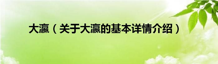 大瀛（关于大瀛的基本详情介绍）