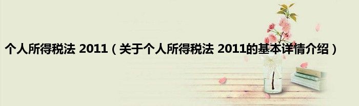 个人所得税法 2011（关于个人所得税法 2011的基本详情介绍）