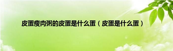 皮蛋瘦肉粥的皮蛋是什么蛋（皮蛋是什么蛋）