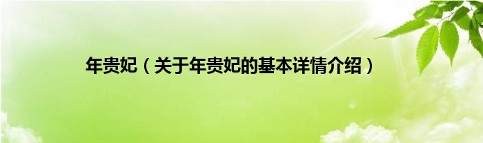 年贵妃（关于年贵妃的基本详情介绍）