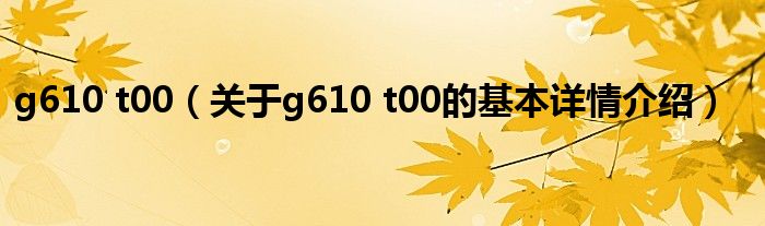 g610 t00（关于g610 t00的基本详情介绍）