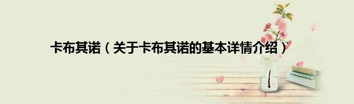卡布其诺（关于卡布其诺的基本详情介绍）