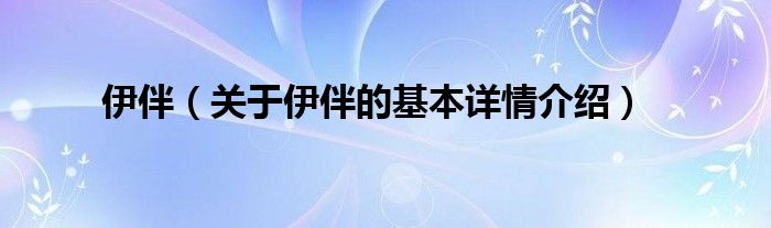 伊伴（关于伊伴的基本详情介绍）