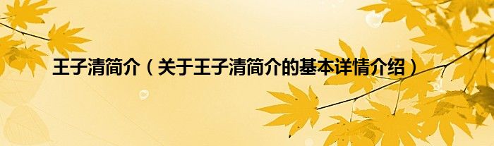 王子清简介（关于王子清简介的基本详情介绍）