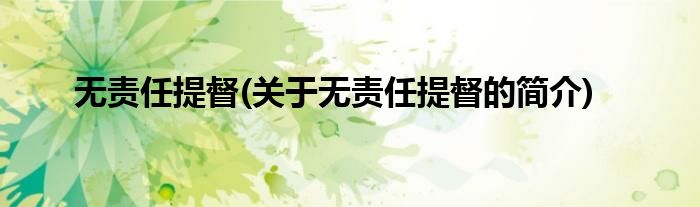 无责任提督(关于无责任提督的简介)