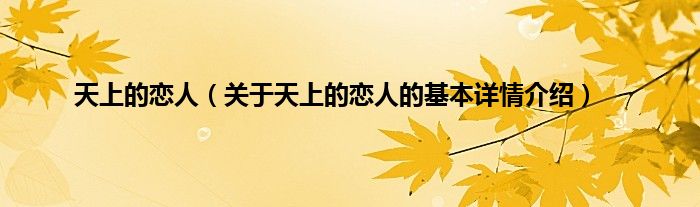 天上的恋人（关于天上的恋人的基本详情介绍）