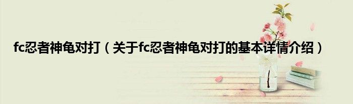 fc忍者神龟对打（关于fc忍者神龟对打的基本详情介绍）
