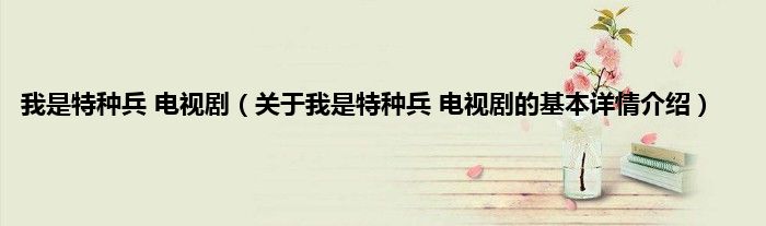 我是特种兵 电视剧（关于我是特种兵 电视剧的基本详情介绍）