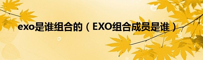 exo是谁组合的（EXO组合成员是谁）