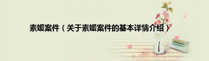 素媛案件（关于素媛案件的基本详情介绍）