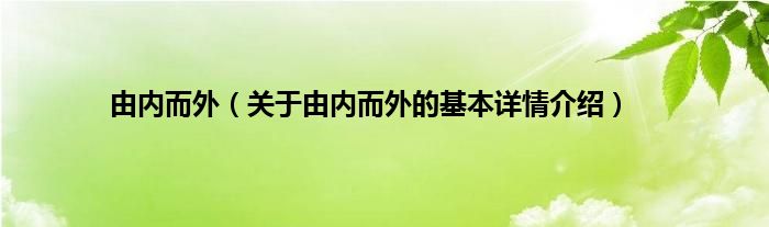 由内而外（关于由内而外的基本详情介绍）