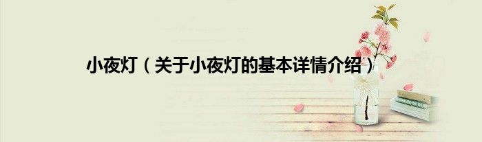 小夜灯（关于小夜灯的基本详情介绍）
