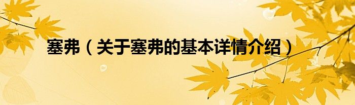 塞弗（关于塞弗的基本详情介绍）
