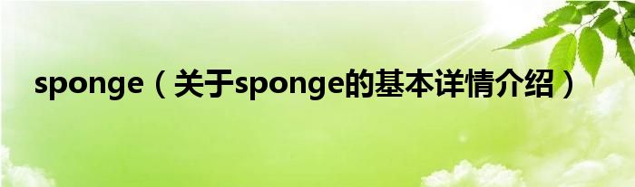 sponge（关于sponge的基本详情介绍）