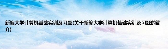 新编大学计算机基础实训及习题(关于新编大学计算机基础实训及习题的简介)