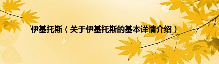 伊基托斯（关于伊基托斯的基本详情介绍）