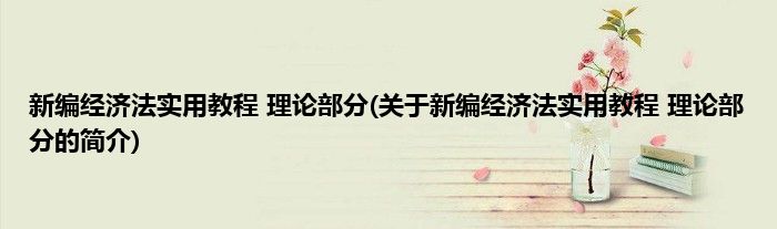 新编经济法实用教程 理论部分(关于新编经济法实用教程 理论部分的简介)