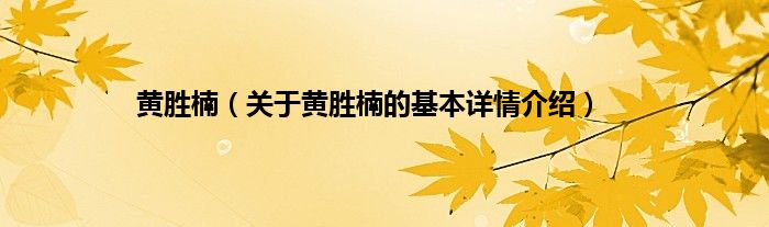 黄胜楠（关于黄胜楠的基本详情介绍）