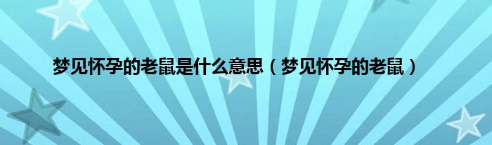 梦见怀孕的老鼠是什么意思（梦见怀孕的老鼠）