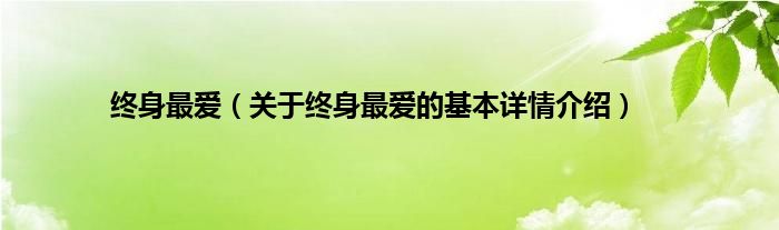 终身最爱（关于终身最爱的基本详情介绍）