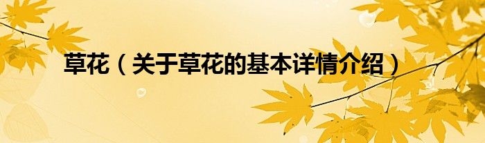 草花（关于草花的基本详情介绍）