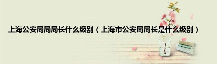 上海公安局局局长什么级别（上海市公安局局长是什么级别）