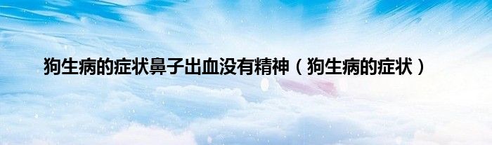 狗生病的症状鼻子出血没有精神（狗生病的症状）